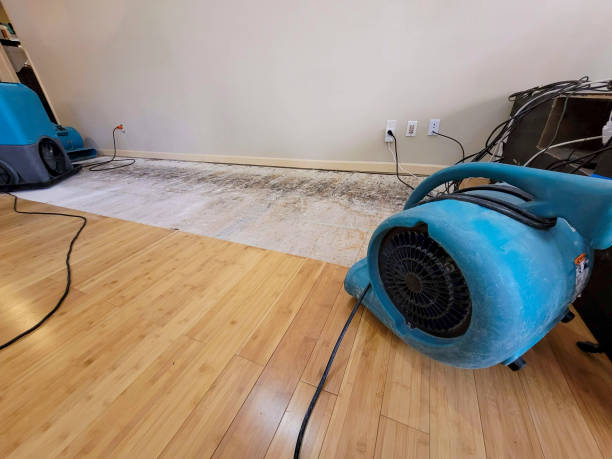 Professional Sewage Cleanup technician working in Orange, VA
